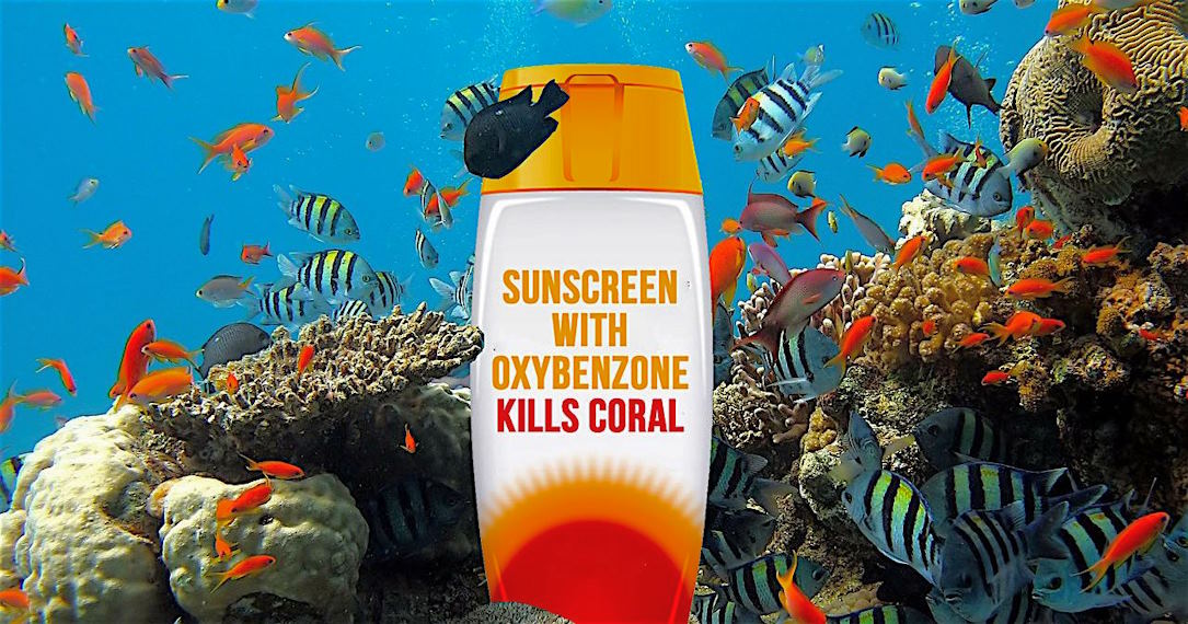 sunscreens and coral reef health